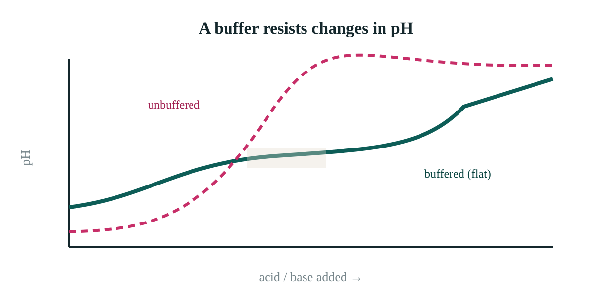 A buffered solution holds pH almost flat across a range of added acid or base; an unbuffered one swings sharply.